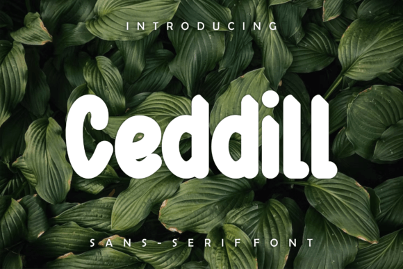 Ceddill: A Bold Display Font for Handmade Creations