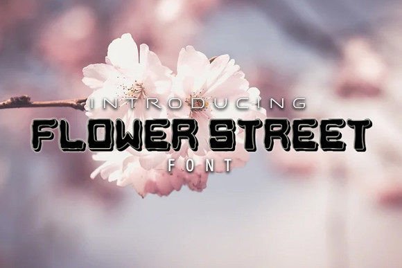 Flower Street: A Stylish Display Font for Web Projects